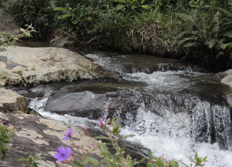 Emasa participa do III Simpósio Técnico da Bacia Hidrográfica do Rio Camboriú