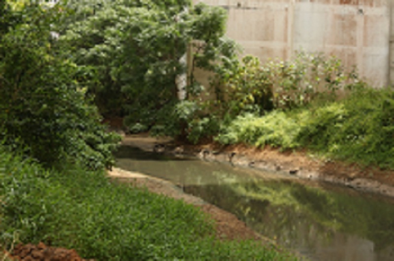 Primeira etapa da revitalização do Rio Marambaia termina neste sábado