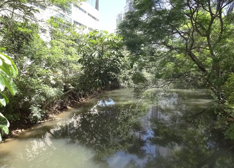 Revitalização do Rio Marambaia será retomada na próxima semana