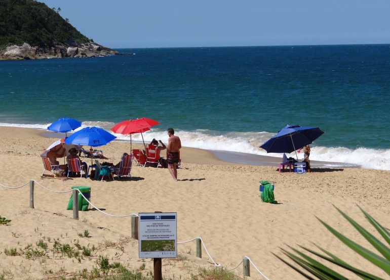 Relatório de Balneabilidade – coleta 11/02/2019