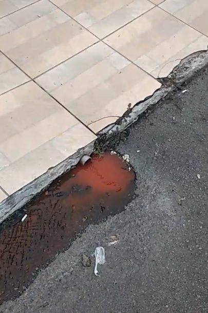 Programa Se Liga na Rede identifica ligação de esgoto irregular na Rua Tailândia