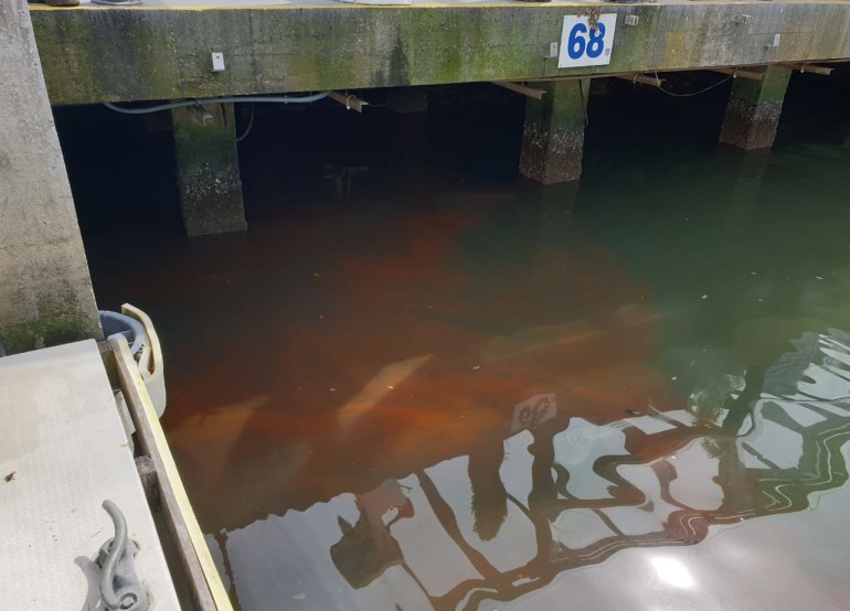 Estabelecimentos reincidentes são interditados por lançar esgoto no rio na Barra Sul