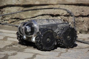 Programa Se Liga na Rede