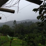 Vistoria Produtor de Água - 23.04.2019