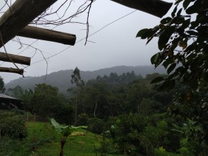 Vistoria Produtor de Água - 23.04.2019