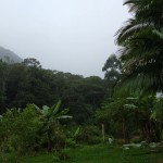 Vistoria Produtor de Água - 23.04.2019