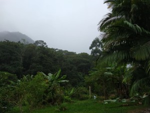 Vistoria Produtor de Água - 23.04.2019