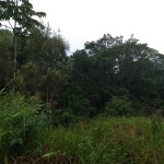 Vistoria Produtor de Água - 23.04.2019