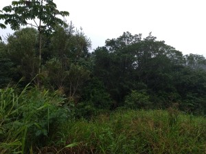 Vistoria Produtor de Água - 23.04.2019