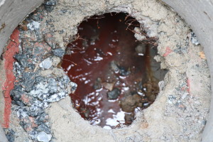 02-05-19 - Lacres de água na Barra - Bruna Bertoldo (14)