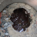 02-05-19 - Lacres de água na Barra - Bruna Bertoldo (18)