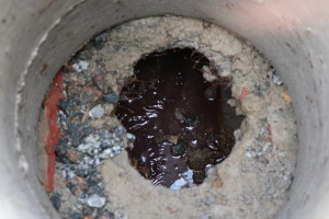 02-05-19 - Lacres de água na Barra - Bruna Bertoldo (18)