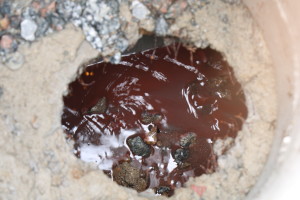 02-05-19 - Lacres de água na Barra - Bruna Bertoldo (31)