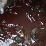 02-05-19 - Lacres de água na Barra - Bruna Bertoldo (35)