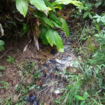 15-05-19 - Vistoria Produtor de Água Samuel Cardoso (4)