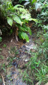 15-05-19 - Vistoria Produtor de Água Samuel Cardoso (4)