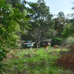 15-05-19 - Vistoria Produtor de Água Samuel Cardoso (5)