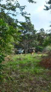 15-05-19 - Vistoria Produtor de Água Samuel Cardoso (5)