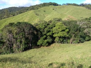 16-05-19 - Vistoria Produtor de Água Evaldo Schroeder (3)