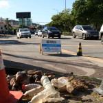 29-04-19 - Vídeo inspeção Rua Paraguai - Bruna Bertoldo (24)