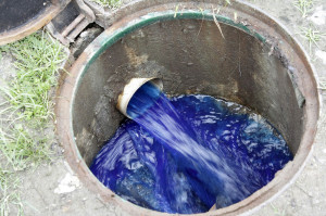 33790037253_04991cb72c_o