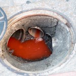 Emasa Lacre 01-02-19_Milena Linhares (3)