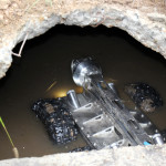 Programa Se Liga na Rede (4)