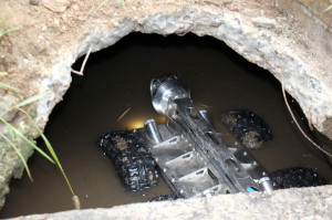 Programa Se Liga na Rede (4)