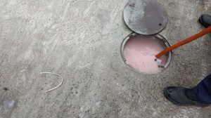 WhatsApp Image 2019-05-09 at 15.32.23 (1)