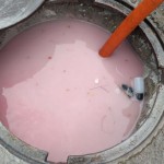 WhatsApp Image 2019-05-09 at 15.32.23