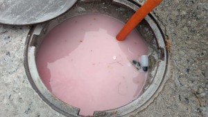 WhatsApp Image 2019-05-09 at 15.32.23