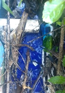 03-06-19- Lacre Rua Portugal - Divulgação EMASA