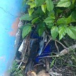 03-06-19- Lacre Rua Portugal - Divulgação EMASA