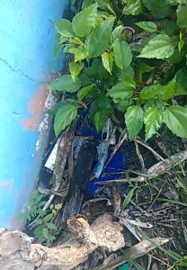 03-06-19- Lacre Rua Portugal - Divulgação EMASA