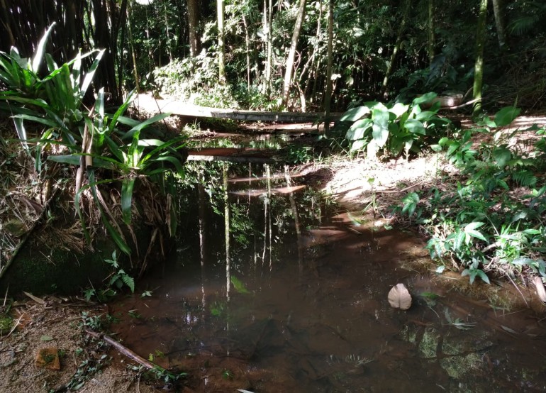 Duas propriedades foram vistoriadas pelo Produtor de Água essa semana