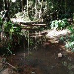 04-06-19- Vistoria Produtor de Água - Divulgação EMASA