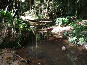 04-06-19- Vistoria Produtor de Água - Divulgação EMASA