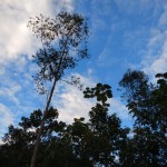 04-06-19- Vistoria Produtor de Água - Divulgação EMASA