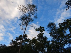 04-06-19- Vistoria Produtor de Água - Divulgação EMASA