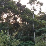 04-06-19- Vistoria Produtor de Água - Divulgação EMASA