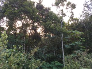 04-06-19- Vistoria Produtor de Água - Divulgação EMASA