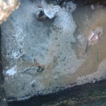 10-06-19- Lacre imóvel Av. Palestina com Rua Paraguai - Divulgação EMASA