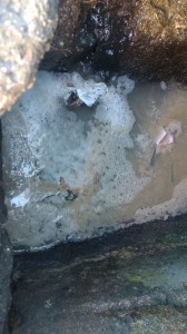 10-06-19- Lacre imóvel Av. Palestina com Rua Paraguai - Divulgação EMASA