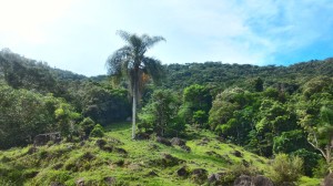19-06-19- Nova adesão Produtor de Água - Arlindo Fronza