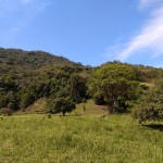 19-06-19- Nova adesão Produtor de Água - Arlindo Fronza