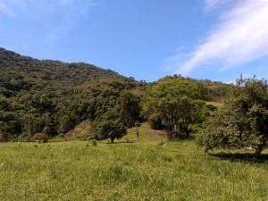 19-06-19- Nova adesão Produtor de Água - Arlindo Fronza