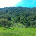 19-06-19- Nova adesão Produtor de Água - Arlindo Fronza