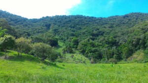 19-06-19- Nova adesão Produtor de Água - Arlindo Fronza