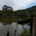 19-06-19- Nova adesão Produtor de Água - Arlindo Fronza