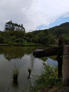 19-06-19- Nova adesão Produtor de Água - Arlindo Fronza